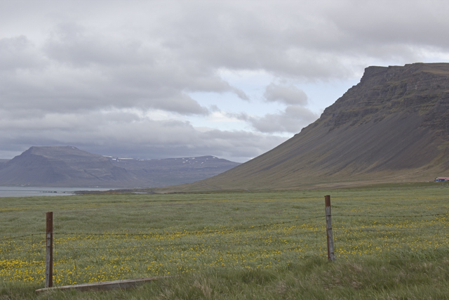 2011-06-28_12-02-29 island.jpg - Strae 62 am Bardastrnd